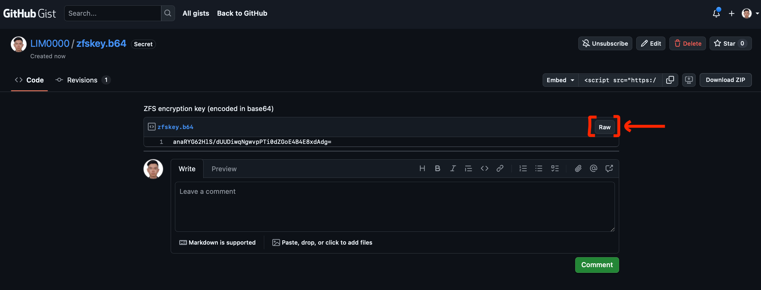 Create a RAW Github GIST